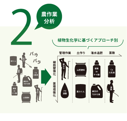 農作物の現状を生物学的に整理するINGEN式分析